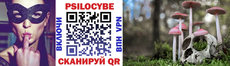 цена   Северск  Галлюциногенные грибы Cubensis 